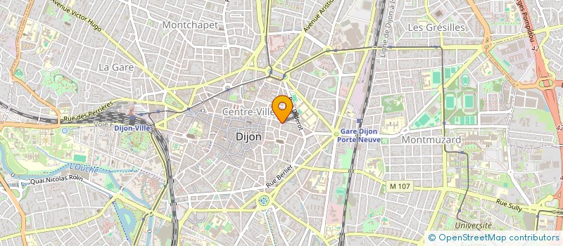 localisation de l'entreprise MONSIEUR MD AHMED  DIJON