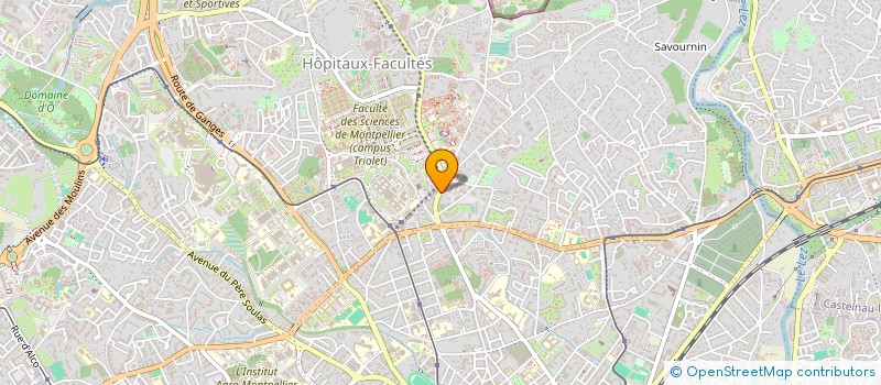 localisation de l'entreprise MONSIEUR MEDDY BRAI à MONTPELLIER