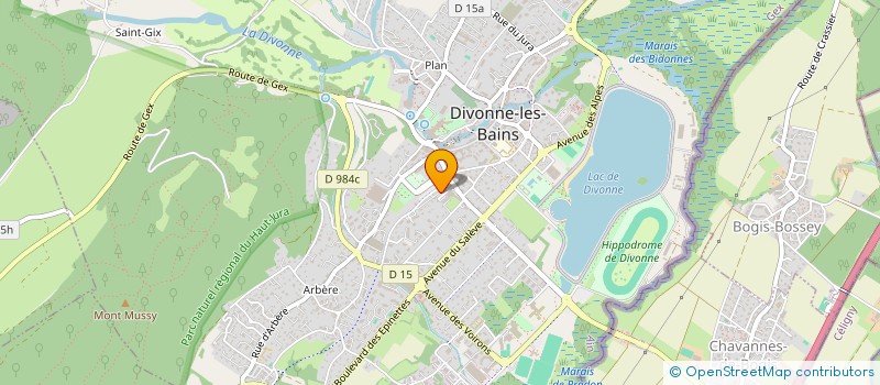 localisation de l'entreprise MONSIEUR MEDHI COTTIER à DIVONNE-LES-BAINS