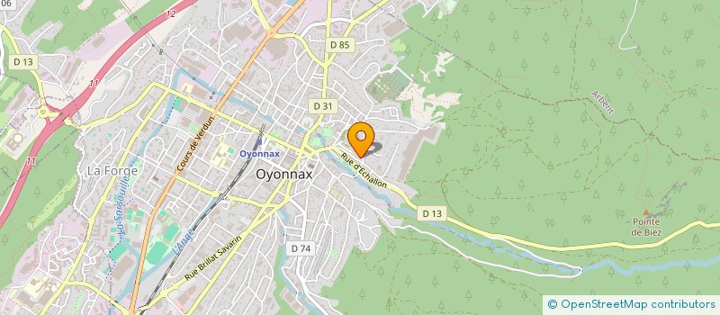 localisation de l'entreprise MONSIEUR MEDI LABIDI à OYONNAX