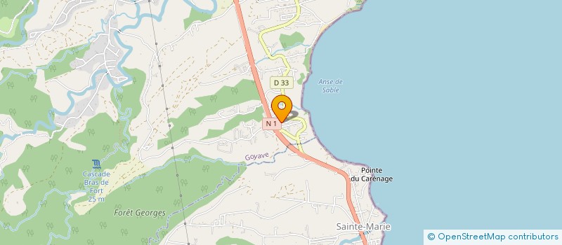 localisation de l'entreprise MONSIEUR MEDRIK NICOLEAU  GOYAVE