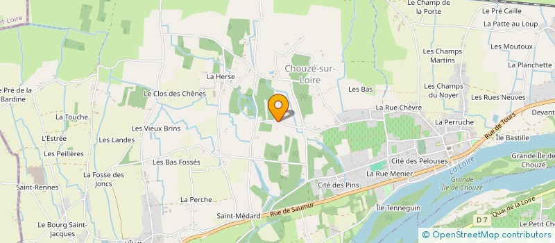 localisation de l'entreprise MONSIEUR MEDY MENDES-BATISTA  CHOUZE-SUR-LOIRE