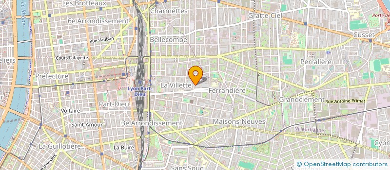 localisation de l'entreprise MONSIEUR MEGNON DIDIER BEBADA  LYON