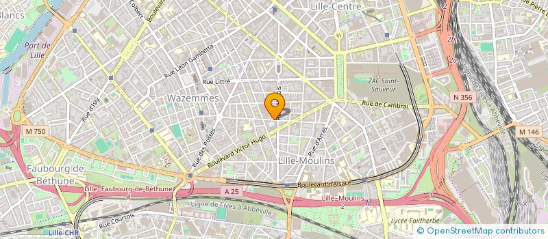 localisation de l'entreprise MONSIEUR MEHANA ALANE à LILLE