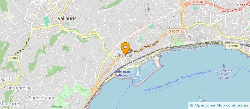 localisation de l'entreprise MONSIEUR MEHDI BEJAOUI  VALLAURIS