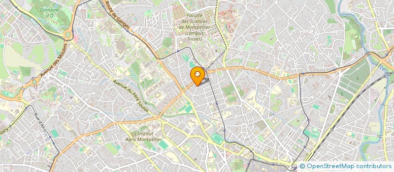 localisation de l'entreprise MONSIEUR MEHDI BENMOULOUD à MONTPELLIER