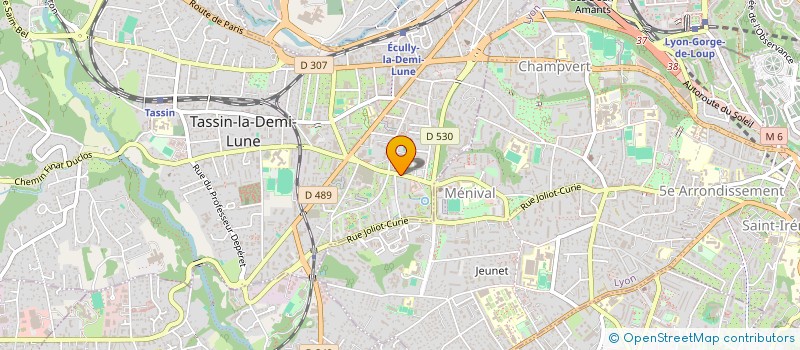 localisation de l'entreprise MONSIEUR MEHDI BENSAID  TASSIN-LA-DEMI-LUNE