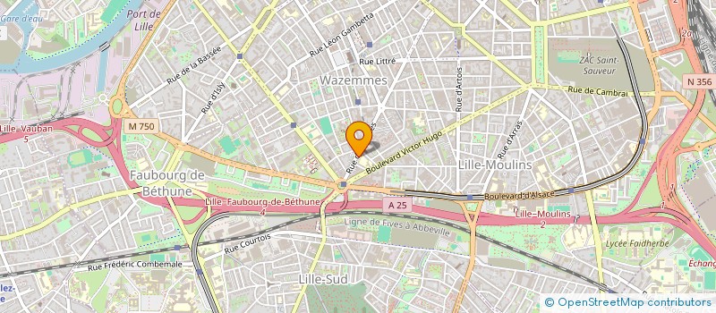 localisation de l'entreprise MONSIEUR MEHDI BUGALLO  LILLE