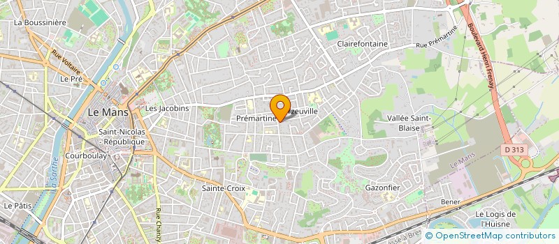 localisation de l'entreprise MONSIEUR MEHDI CRINIERE BOIZET  LE MANS