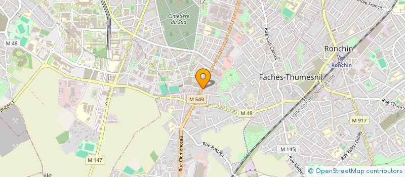 localisation de l'entreprise MONSIEUR MEHDI DEFLANDRE  FACHES-THUMESNIL