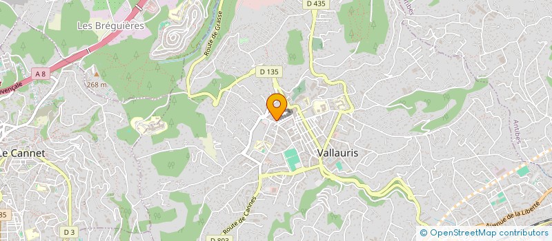 localisation de l'entreprise MONSIEUR MEHDI LABIDI à VALLAURIS