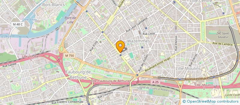 localisation de l'entreprise MONSIEUR MEHDI ZAAM à LILLE