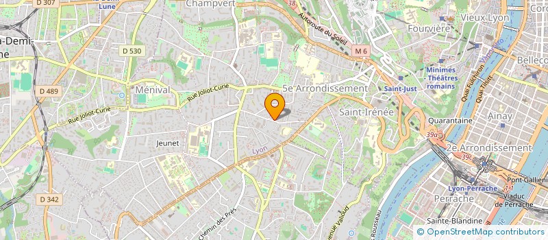 localisation de l'entreprise MONSIEUR MEHDY SACI à LYON