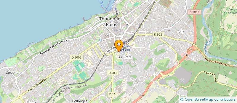 localisation de l'entreprise MONSIEUR MEHMET AYDIN à THONON-LES-BAINS