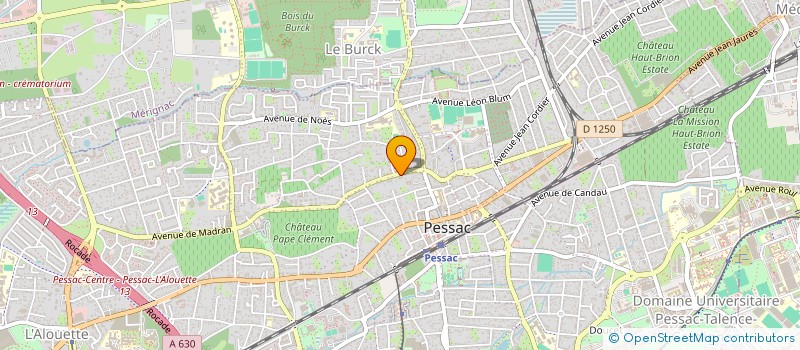 localisation de l'entreprise MONSIEUR MEHMET BASCETIN à PESSAC