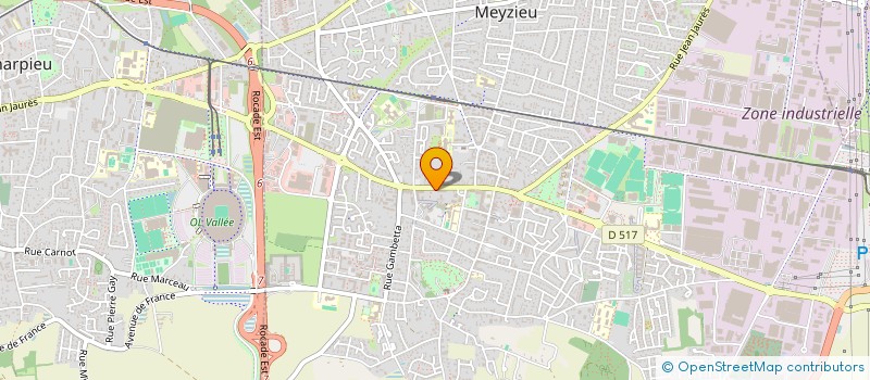 localisation de l'entreprise MONSIEUR MEHMET DEMIRTAS à MEYZIEU