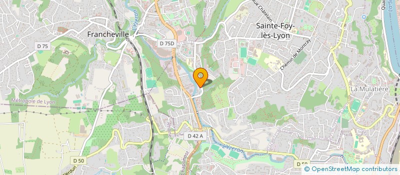 localisation de l'entreprise MONSIEUR MEHMET GUNEY  SAINTE-FOY-LES-LYON