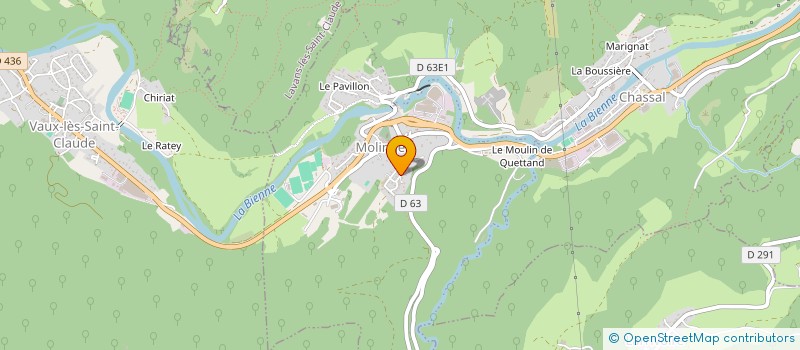 localisation de l'entreprise MONSIEUR MEHMET KOCAK  CHASSAL-MOLINGES