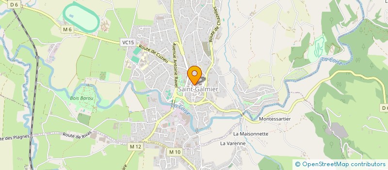 localisation de l'entreprise MONSIEUR MEHMET TORUN  SAINT-GALMIER