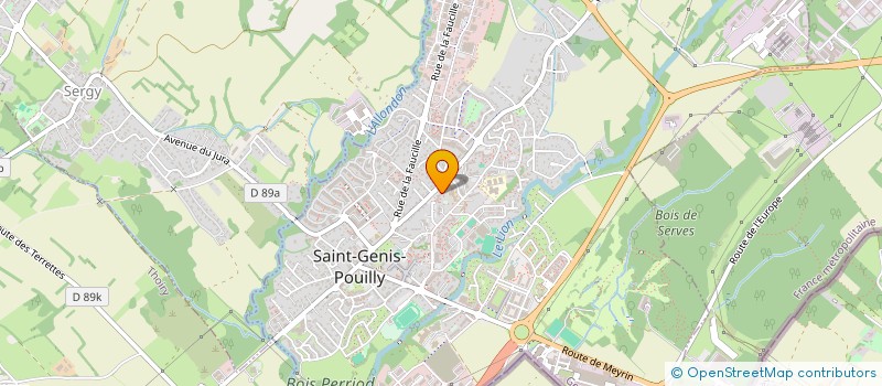 localisation de l'entreprise MONSIEUR MEHMET YILDIZ à SAINT-GENIS-POUILLY