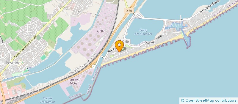 localisation de l'entreprise MONSIEUR MEIDHI TOUZENE à FRONTIGNAN