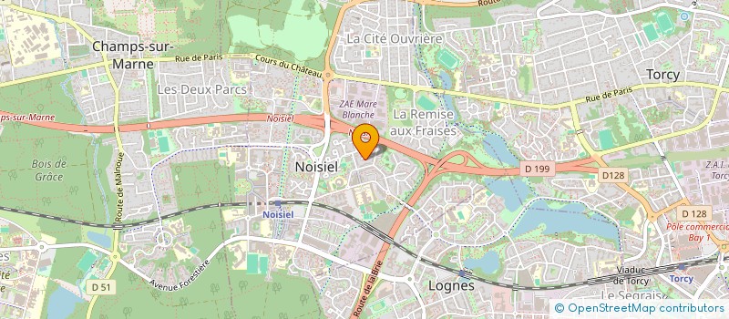 localisation de l'entreprise MONSIEUR MEIDY BORDINO  NOISIEL