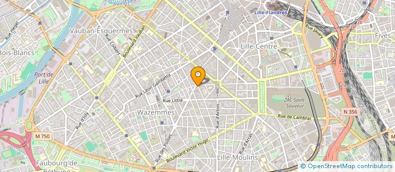 localisation de l'entreprise MONSIEUR MEISSANE SID-LAZARA à LILLE