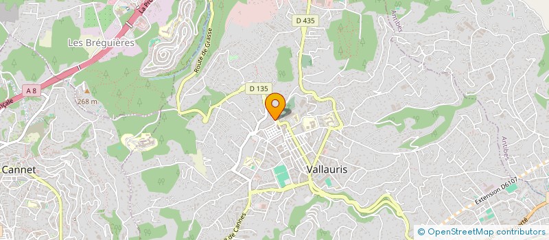 localisation de l'entreprise MONSIEUR MEJDI AOUNI à VALLAURIS