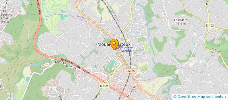 localisation de l'entreprise MONSIEUR MEKKI MAGTOUF à MOUANS-SARTOUX