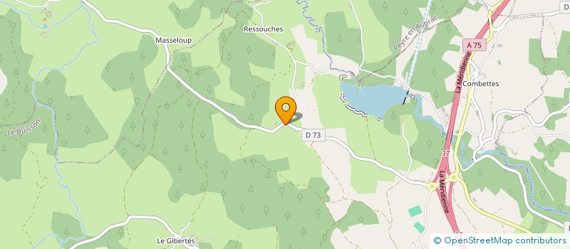 localisation de l'entreprise MONSIEUR MELCHIOR DE WARREN  PRINSUEJOLS-MALBOUZON