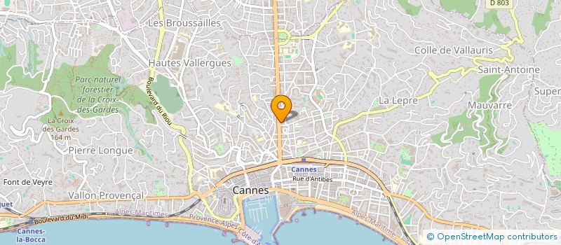 localisation de l'entreprise MONSIEUR MELDER SIMOES DA SILVA à CANNES