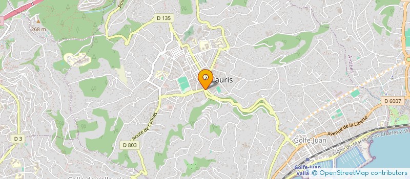 localisation de l'entreprise MONSIEUR MELIK HAMIDA  VALLAURIS