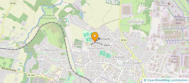 localisation de l'entreprise MONSIEUR MELVYN NZIMBU  COLOMIERS