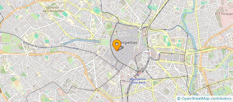 localisation de l'entreprise MONSIEUR MENASHE LEVI à MONTPELLIER