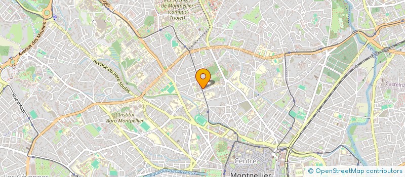 localisation de l'entreprise MONSIEUR MERWAN NAJI à MONTPELLIER