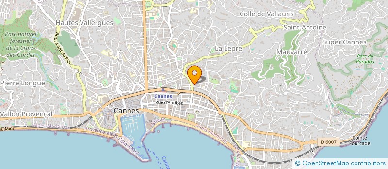 localisation de l'entreprise MONSIEUR MICAEL RICARDO COSME  CANNES