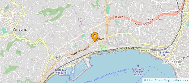 localisation de l'entreprise MONSIEUR MICHAEL ANDERSON  VALLAURIS