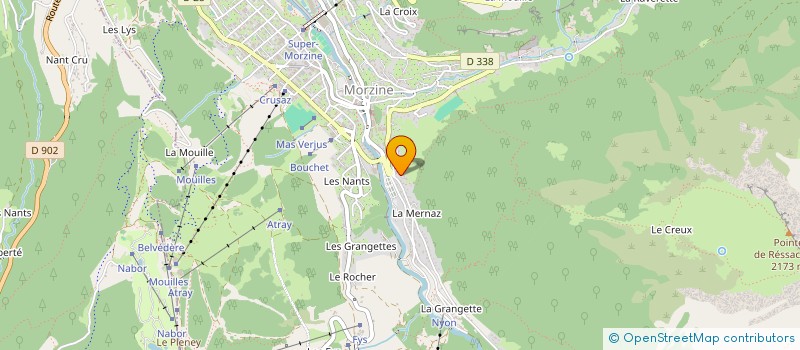 localisation de l'entreprise MONSIEUR MICHAEL ARMER  MORZINE