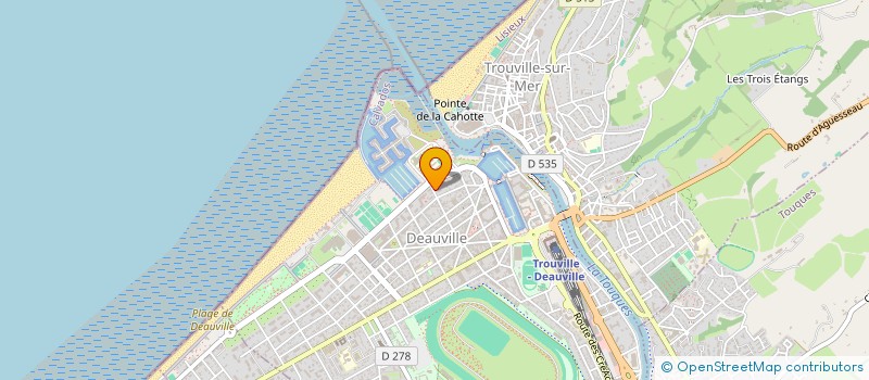 localisation de l'entreprise MONSIEUR MICHAEL BARRE  DEAUVILLE