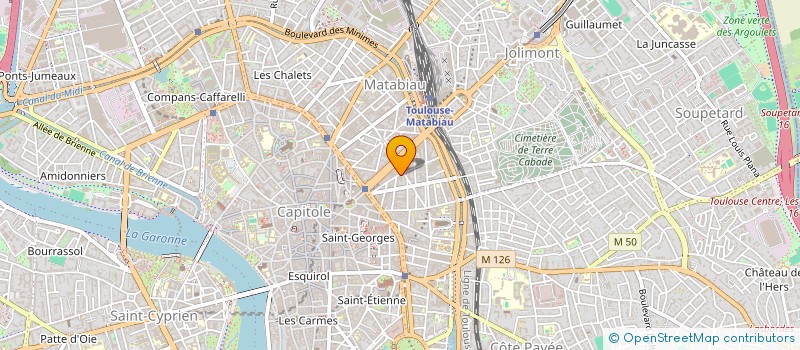 localisation de l'entreprise MONSIEUR MICHAEL BASSETTO  TOULOUSE