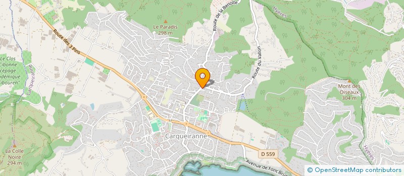 localisation de l'entreprise MONSIEUR MICHAEL BAUDET  LA VALETTE-DU-VAR