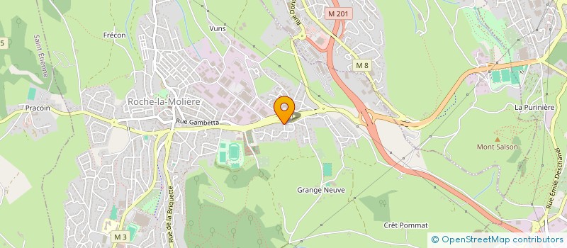 localisation de l'entreprise MONSIEUR MICHAEL BONNEFOY  ROCHE-LA-MOLIERE