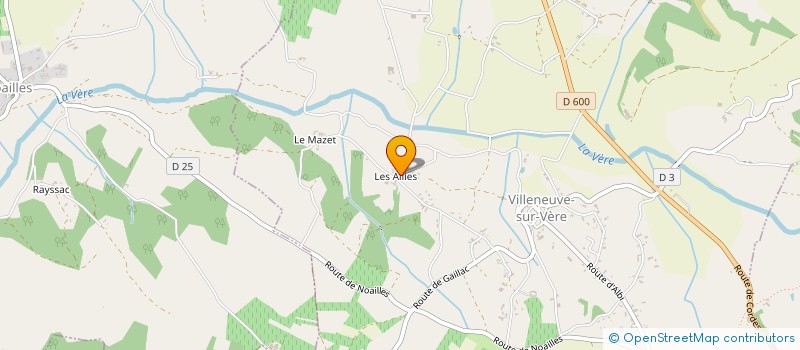 localisation de l'entreprise MONSIEUR MICHAEL BOUET  VILLENEUVE-SUR-VERE