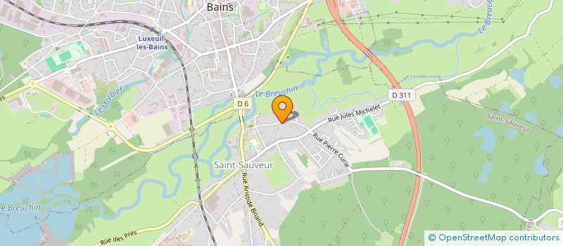 localisation de l'entreprise MONSIEUR MICHAEL CARVALHO  SAINT-SAUVEUR