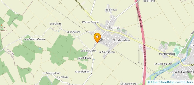 localisation de l'entreprise MONSIEUR MICHAEL DA CRUZ  GY-LES-NONAINS