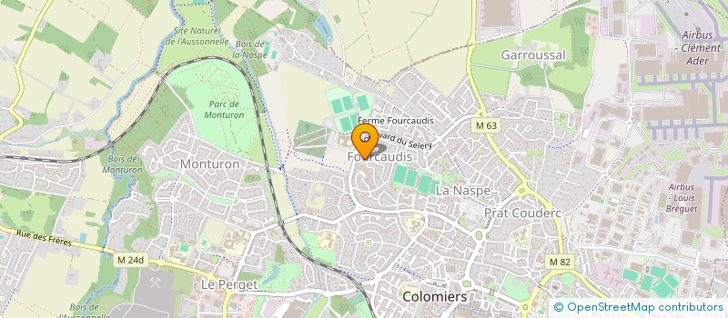 localisation de l'entreprise MONSIEUR MICHAEL DANGREAU à COLOMIERS