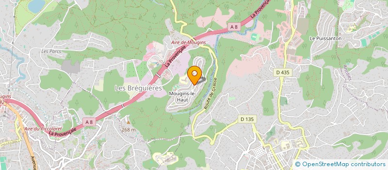 localisation de l'entreprise MONSIEUR MICHAEL DANNENBERG à MOUGINS