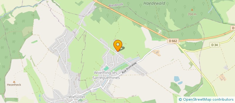 localisation de l'entreprise MONSIEUR MICHAEL DANNENMULLER  WLFLING-LES-SARREGUEMINES