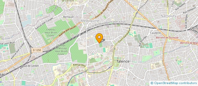 localisation de l'entreprise MONSIEUR MICHAEL DENYS  TALENCE