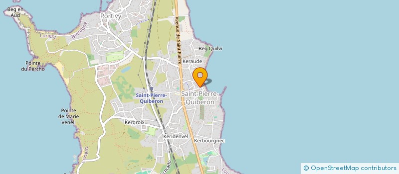 localisation de l'entreprise MONSIEUR MICHAEL DRAN  SAINT-PIERRE-QUIBERON